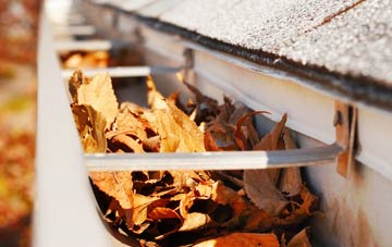 Tontine gutter cleaning companies
