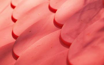 Tontine plastic roof costs