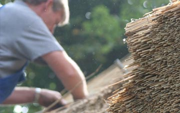 professional Tontine thatchers